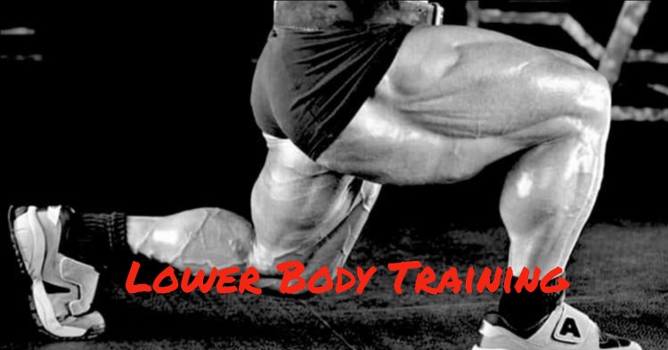 lower-body-training-guide