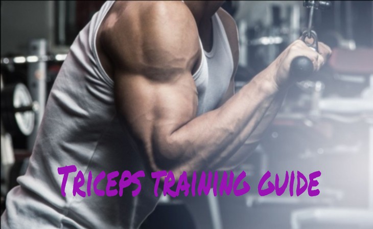 triceps-training-guide